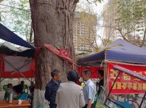 区政协副主席夏尧宣到龙水镇开展巡林工作